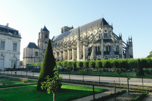 Enlèvement arbre urgence Bourges